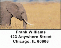 Click on Elephants Address Labels For More Details