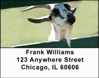 Click on Goats Address Labels For More Details