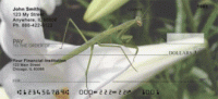 Click on Praying Mantises Checks For More Details