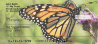 Click on Monarch Butterflies Checks For More Details
