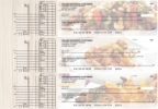 Click on Chinese Cuisine Multi Purpose Designer Business Checks For More Details