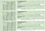 Click on Grassy Payroll Designer Business Checks For More Details