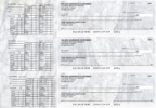 Click on Marble Payroll Designer Business Checks For More Details