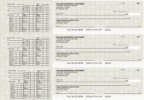 Click on Circuit Payroll Designer Business Checks For More Details