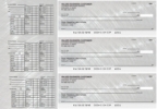 Click on Brushed Metal Payroll Designer Business Checks For More Details