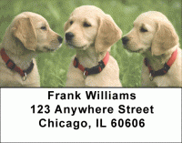 Click on Cute Puppies Address Labels For More Details