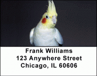 Click on Cockatiels Address Labels For More Details