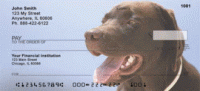 Click on Chocolate Labradors Checks For More Details