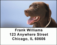 Click on Chocolate Labradors Address Labels For More Details