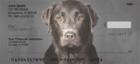 Click on Black Labradors Checks For More Details