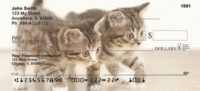 Click on Cute Kittens Top Tear Checks For More Details