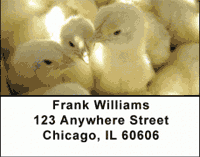 Click on Barnyard Babies Address Labels For More Details
