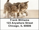 Cute Kittens Address Labels