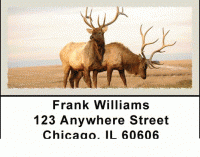 Click on American Wildlife Address Labels For More Details