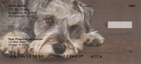 Click on Schnauzers Checks For More Details