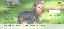 Yorkshire Terriers Checks