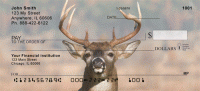 Click on Big Horned Buck Deer Top Tear Checks For More Details