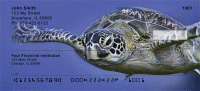 Sea Turtles Under Water