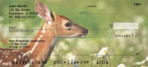 Deer Fawn Checks