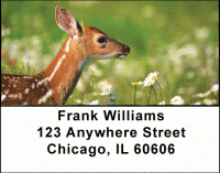 Click on Deer Fawn Address Labels For More Details