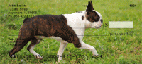 Click on Boston Terrier Checks For More Details