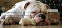Click on Cute English Bulldog Checks For More Details