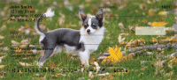 Click on Charming Chihuahua Checks For More Details