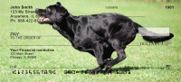 Click on Brilliant Black Labs Checks For More Details
