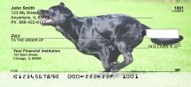 Brilliant Black Labs Checks