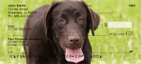 Click on O So Chocolate Labs Checks For More Details