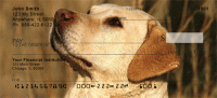 Click on Majestic Yellow Lab Checks For More Details