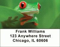Click on More Tree Frogs Address Labels For More Details