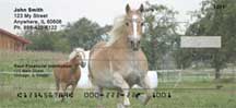 Horses Checks