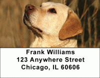 Majestic Yellow Lab Address Labels