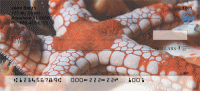 Click on Sea Stars by Aggressor Fleet Checks For More Details