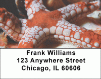 Click on Sea Stars by Aggressor Fleet Address Labels For More Details