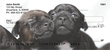 Click on Puppy - Puppies  Checks For More Details