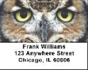 Owls Labels - Owl Address Labels