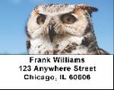 Owl Labels - Owls Address Labels