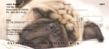 Pug - Sleepy Pugs  Personal Checks