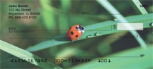 Click on Ladybug - Ladybugs on Leaves  Checks For More Details