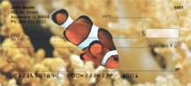 Click on Clown Fish - Fish Checks For More Details