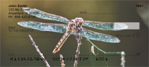 Click on Dragonflies  - Dragonfly Checks For More Details