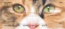 Click on Calico Cats - Cat Checks For More Details