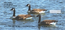 Canada Geese - Canadian Geese  Personal Checks