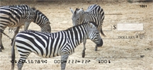 Zebra - Zebras  Checks
