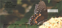 Click on Butterfly Sampler Checks For More Details