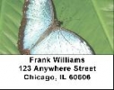 Blue Morpho Butterflies Address Labels