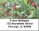 Click on Ferns Labels - Fern Background Address Labels For More Details