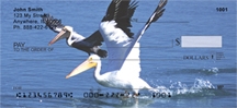 Pelican - Pelicans  Personal Checks